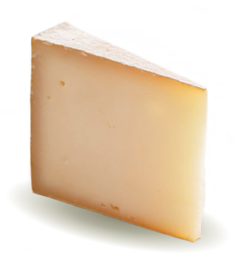 森のチーズ